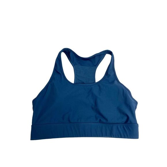 Fabletics Other - Fabletics size Large blue sports bra